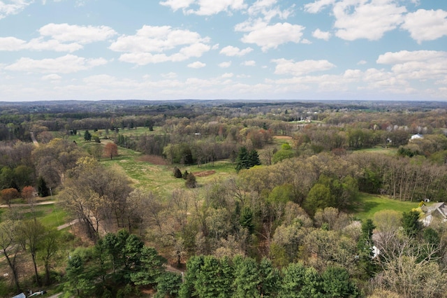 Moeckel Rd, Grass Lake, MI 49240