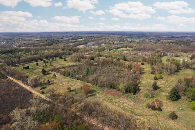 Moeckel Rd, Grass Lake, MI 49240