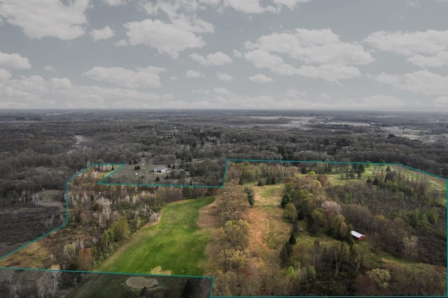 Moeckel Rd, Grass Lake, MI 49240