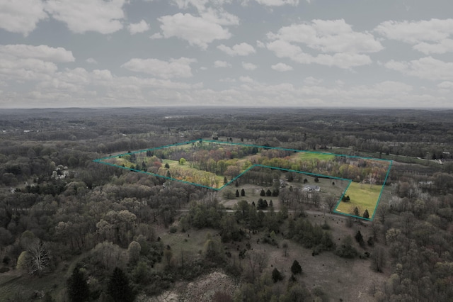 Moeckel Rd, Grass Lake, MI 49240