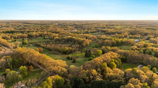 Moeckel Rd, Grass Lake, MI 49240