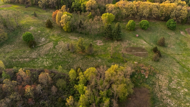 Moeckel Rd, Grass Lake, MI 49240