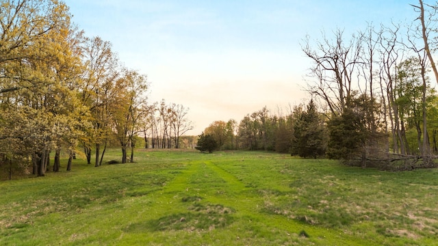 Moeckel Rd, Grass Lake, MI 49240