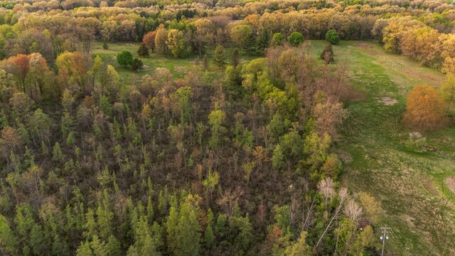 Moeckel Rd, Grass Lake, MI 49240