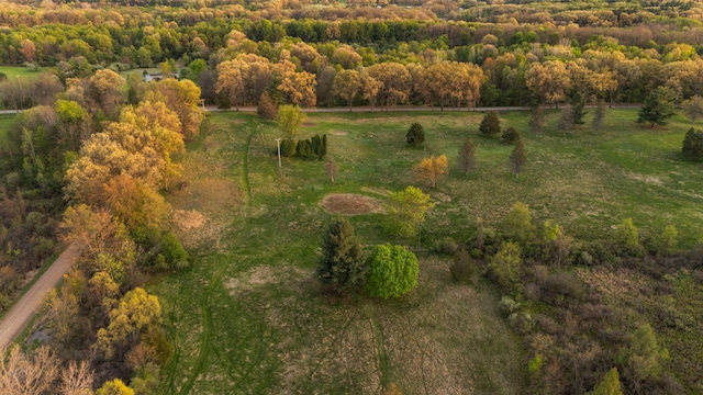 Moeckel Rd, Grass Lake, MI 49240