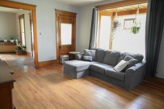 244 E Pearl St, Coldwater, MI 49036 - living room with hardwood / wood-style floors and baseboards