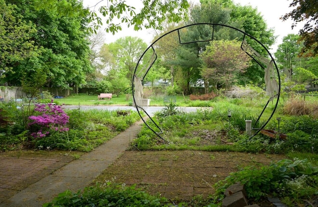 244 E Pearl St, Coldwater, MI 49036 - view of yard