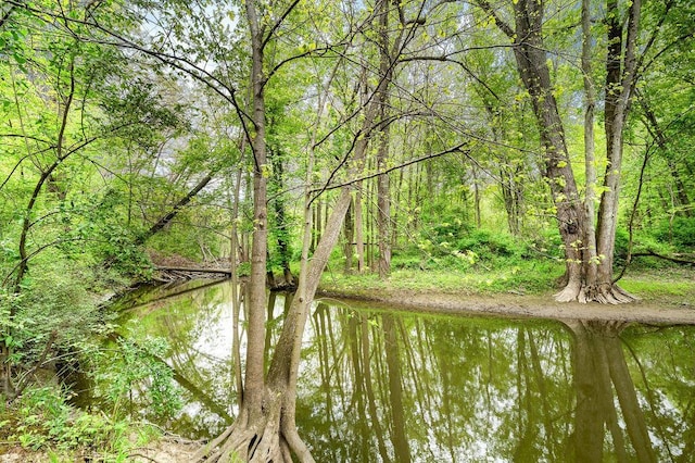 16431 Glassman Rd, Union Pier, MI 49129 - water view with a forest