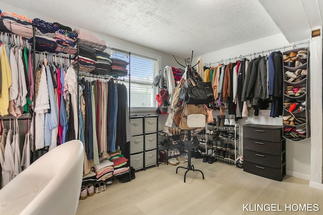 spacious closet featuring wood finished floors