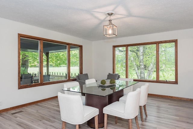 16436 45th Ave, Barryton, MI 49305 - dining area featuring baseboards, healthy amount of natural light, light wood-type flooring, and a textured ceiling