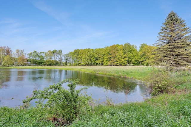 16436 45th Ave, Barryton, MI 49305 - water view