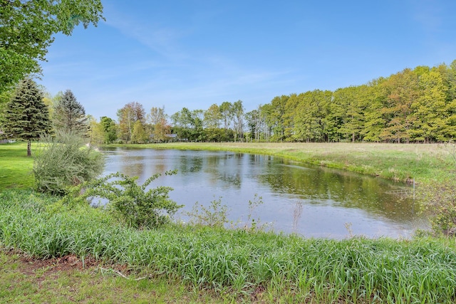 16436 45th Ave, Barryton, MI 49305 - water view featuring a forest