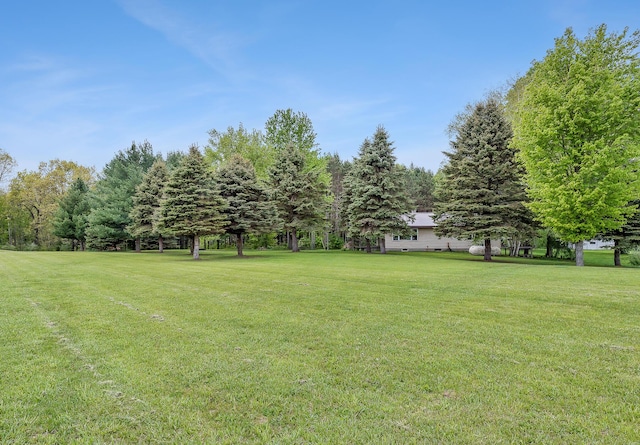 16436 45th Ave, Barryton, MI 49305 - view of green lawn