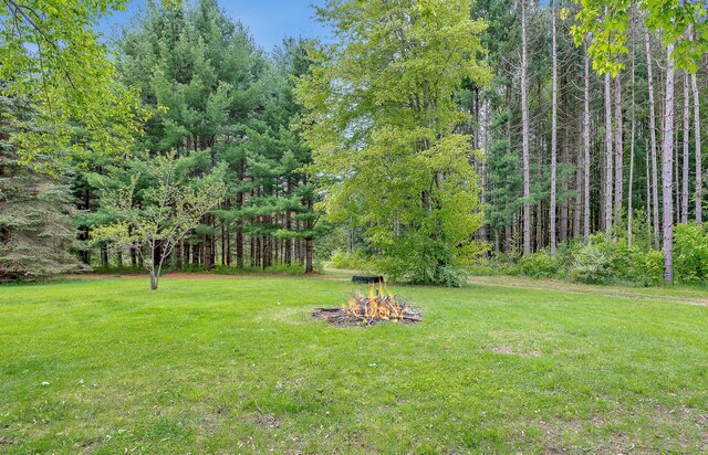 16436 45th Ave, Barryton, MI 49305 - view of grassy yard with a forest view