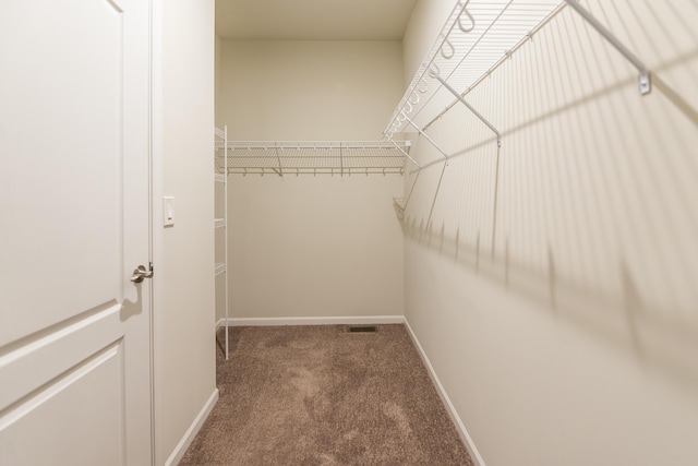 50305 Thatcher St, Canton, MI 48188 - walk in closet with carpet flooring