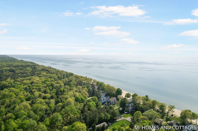 3760 Lakeshore Dr, Holland, MI 49424 - bird's eye view of a large body of water and a forest
