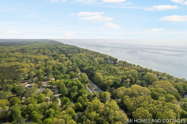 3760 Lakeshore Dr, Holland, MI 49424 - bird's eye view of a heavily wooded area and a large body of water