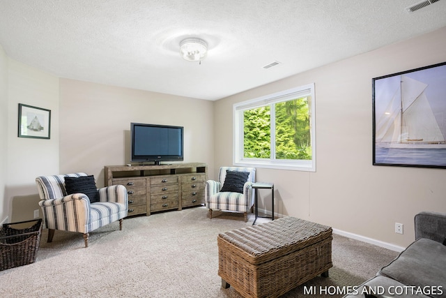 3760 Lakeshore Dr, Holland, MI 49424 - carpeted living room featuring a textured ceiling and baseboards