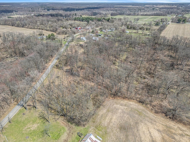 2640 Terminal St, Niles, MI 49120 - aerial overview of property's location with rural landscape