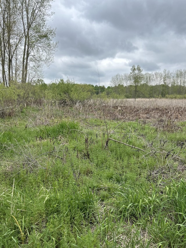 Cunningham Rd, Freeport, MI 49325