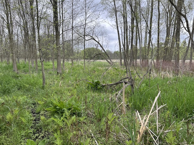 Cunningham Rd, Freeport, MI 49325
