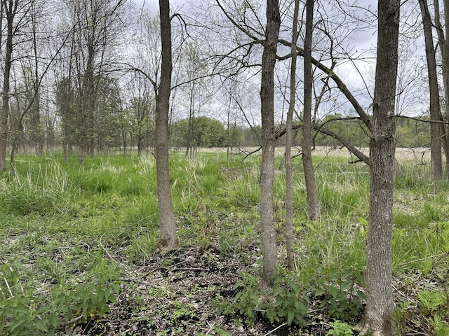 Cunningham Rd, Freeport, MI 49325