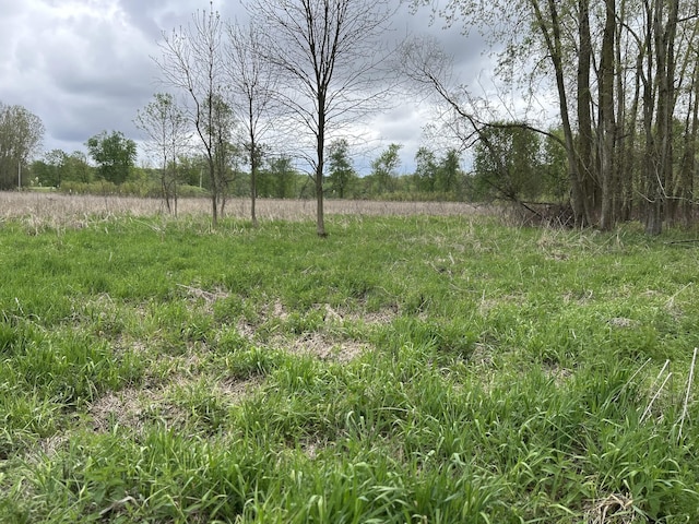 Cunningham Rd, Freeport, MI 49325