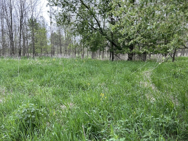 Cunningham Rd, Freeport, MI 49325