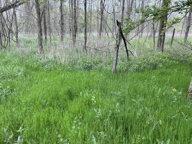 Cunningham Rd, Freeport, MI 49325