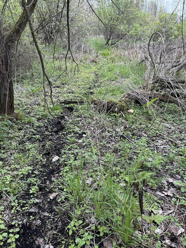 Cunningham Rd, Freeport, MI 49325