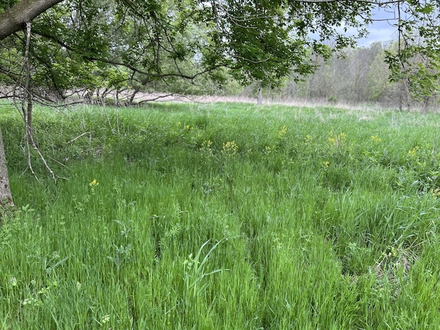 Cunningham Rd, Freeport, MI 49325