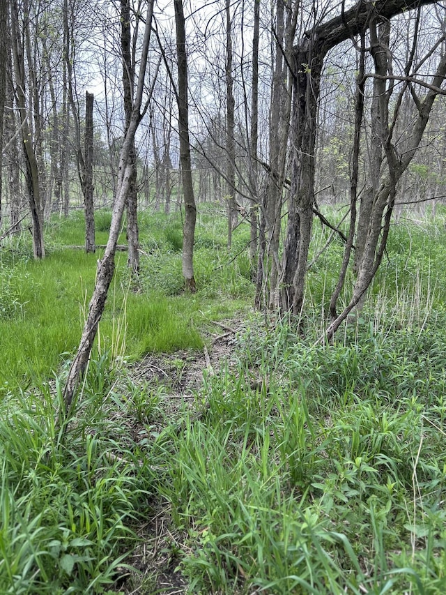 Cunningham Rd, Freeport, MI 49325