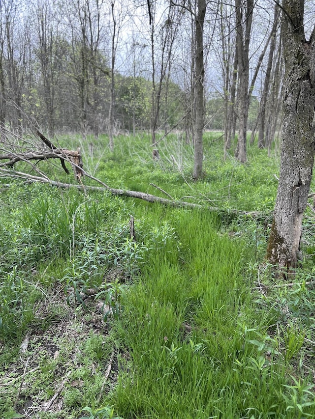 Cunningham Rd, Freeport, MI 49325