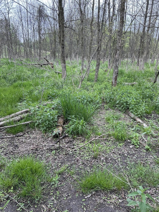 Cunningham Rd, Freeport, MI 49325