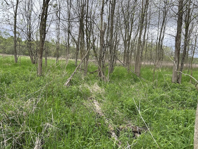 Cunningham Rd, Freeport, MI 49325