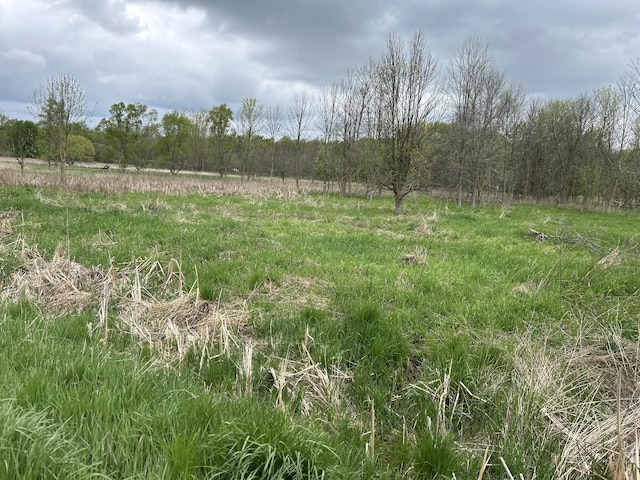 Cunningham Rd, Freeport, MI 49325