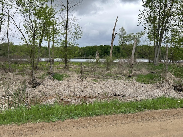 Cunningham Rd, Freeport, MI 49325