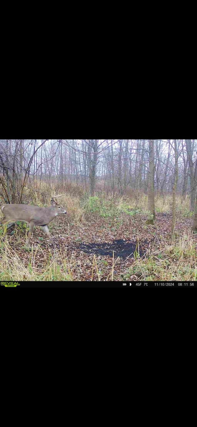 Cunningham Rd, Freeport, MI 49325