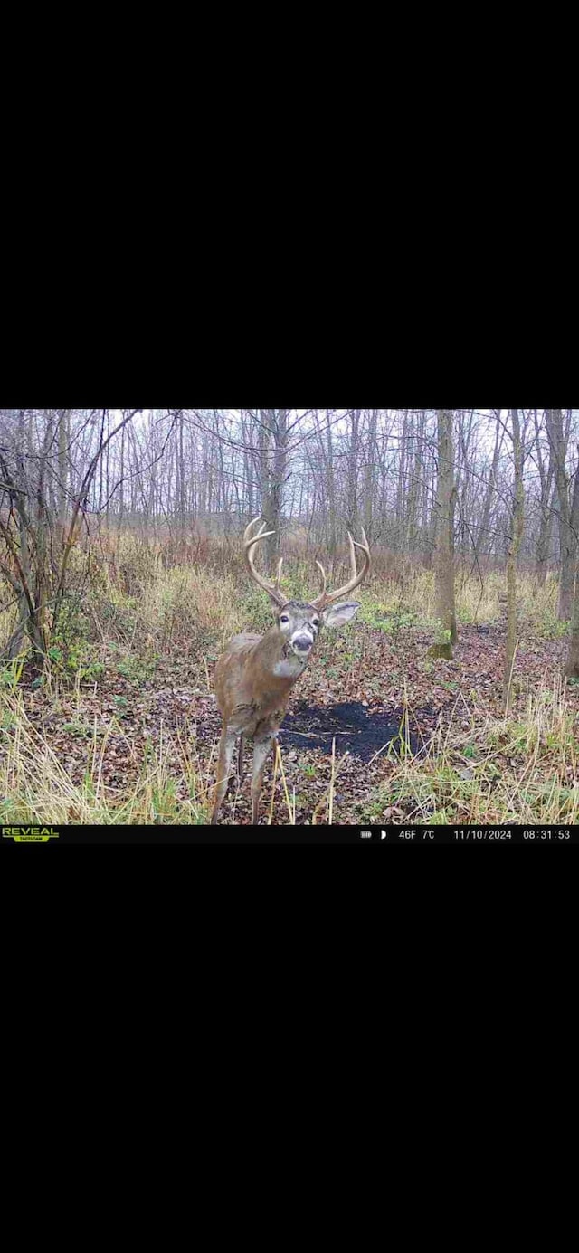 Cunningham Rd, Freeport, MI 49325