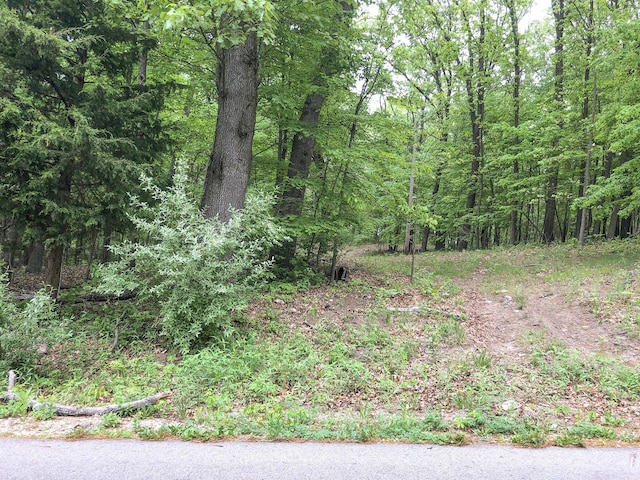 Surges Rd, Niles, MI 49120