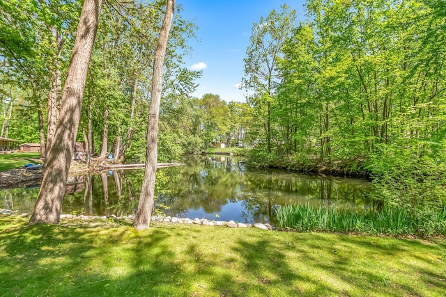 586 Schaeffer Dr, Coldwater, MI 49036 - water view