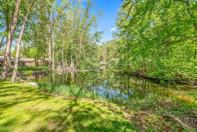 586 Schaeffer Dr, Coldwater, MI 49036 - water view