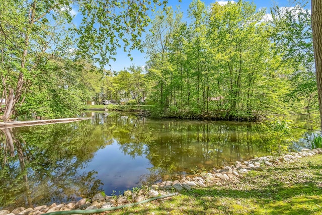 586 Schaeffer Dr, Coldwater, MI 49036 - water view featuring a heavily wooded area