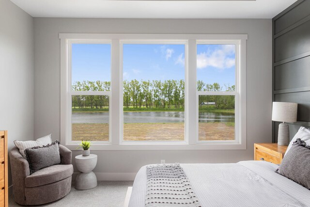 9156 Perry Ct Lot C, Lot C, Zeeland, MI 49464 - carpeted bedroom featuring a water view