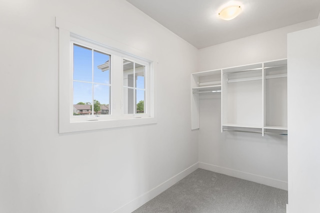 9156 Perry Ct Lot C, Lot C, Zeeland, MI 49464 - spacious closet with carpet