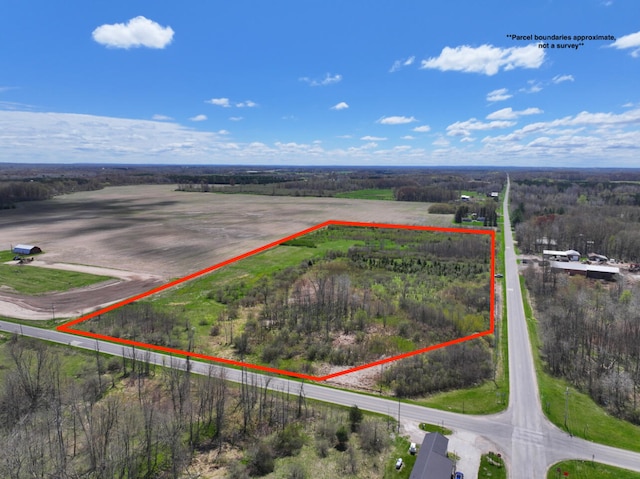 V/L19.54A N Custer Rd, Free Soil, MI 49411