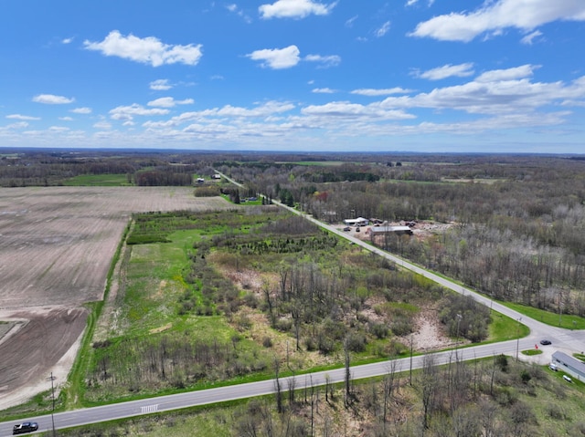 V/L19.54A N Custer Rd, Free Soil, MI 49411