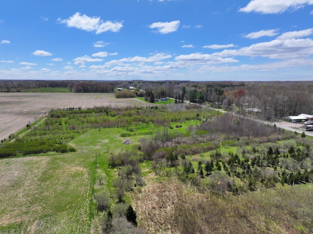 V/L19.54A N Custer Rd, Free Soil, MI 49411