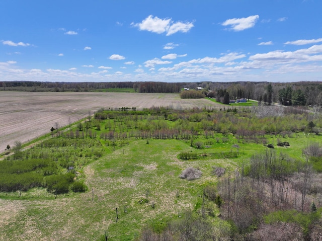 V/L19.54A N Custer Rd, Free Soil, MI 49411
