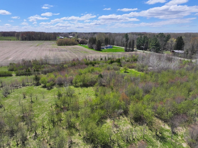 V/L19.54A N Custer Rd, Free Soil, MI 49411